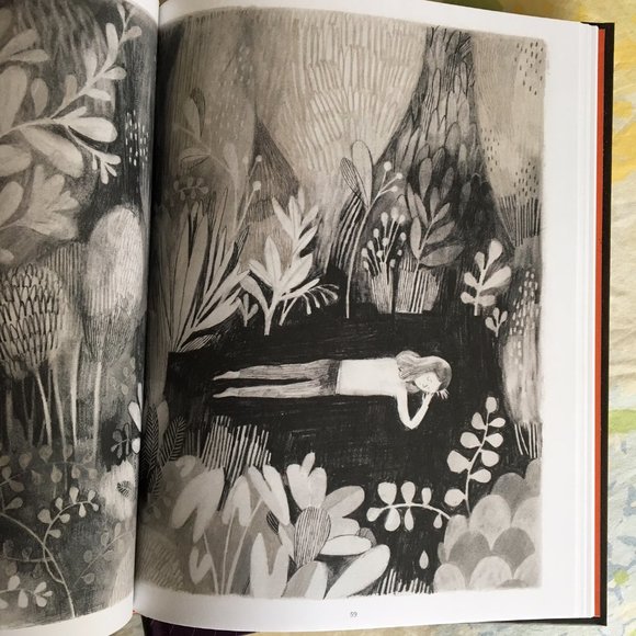 Jane, the Fox & Me - Graphic Novel Hardcover Book - Picture 4 of 7